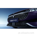 NOVO ENERGIE AUTOMOBILE DE AUTOMOBILHO CHINESS VOYAH PANTER 2024